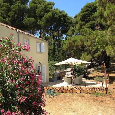 Seaside House On A Tiny Island Mali Lošinj